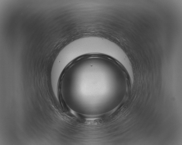 X0000052930272200507151625