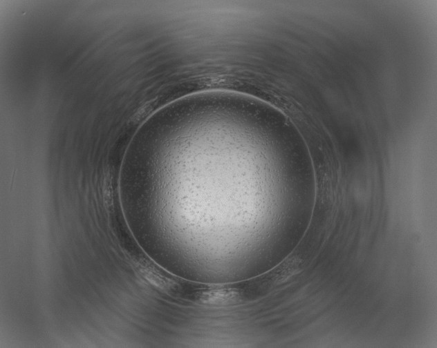 X0000052930274200507151625