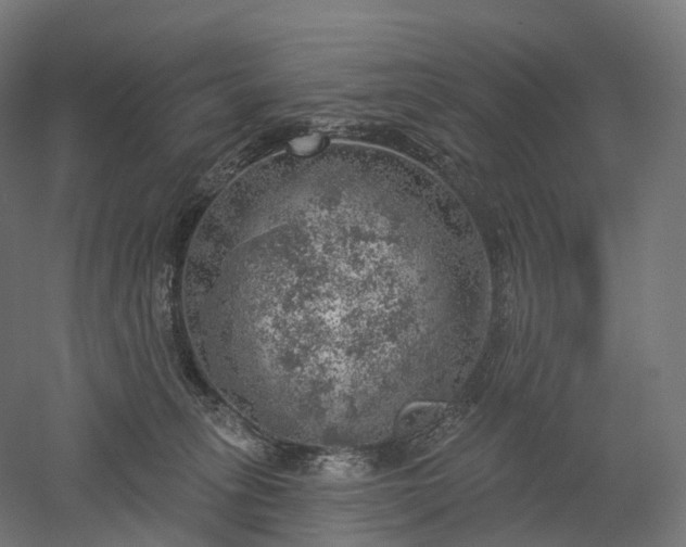 X0000052930275200507151625