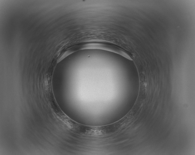 X0000052930276200507151625