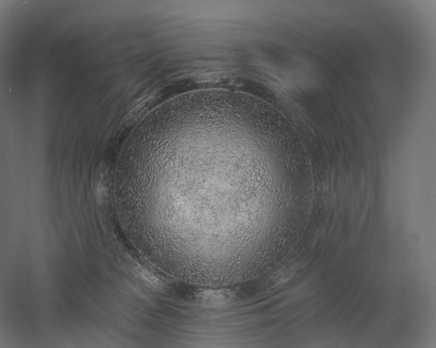 X0000052930277200507151625