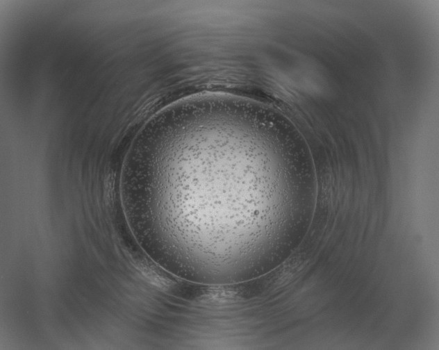 X0000052930278200507151625