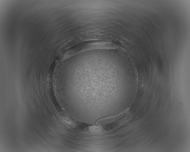 X0000052930279200507151625