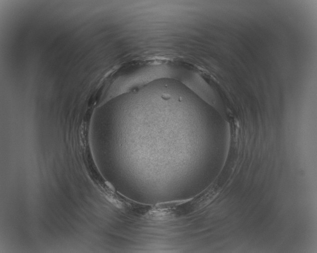 X0000052930280200507151625