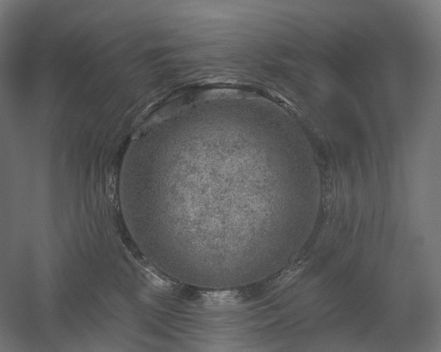 X0000052930281200507151625