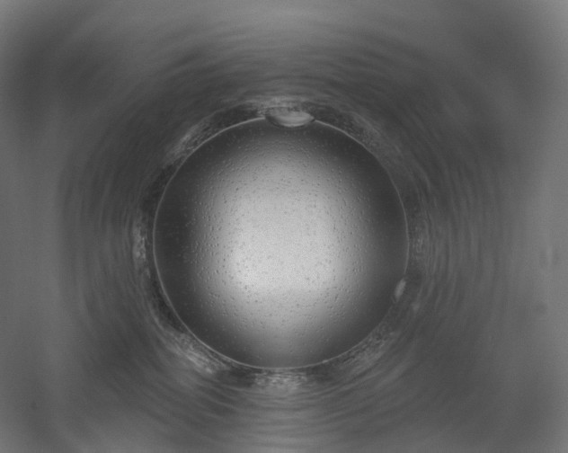 X0000052930282200507151625