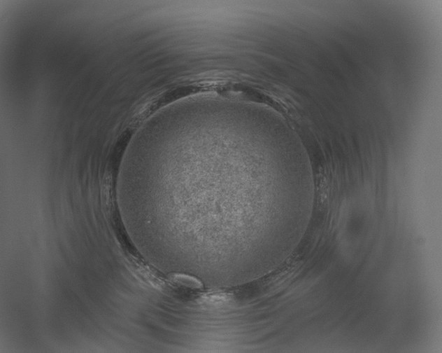 X0000052930283200507151625