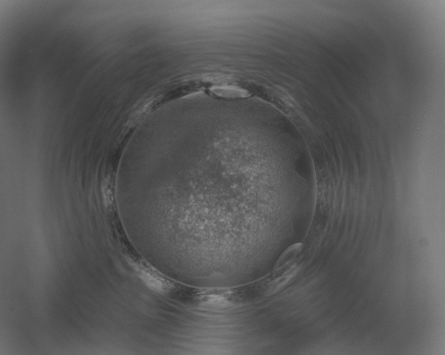 X0000052930285200507151625