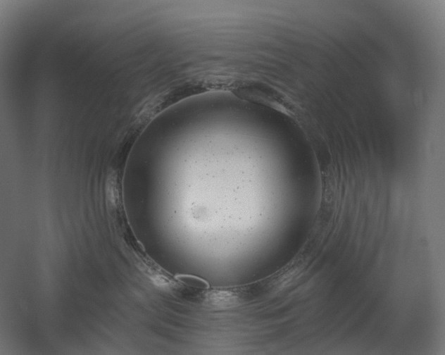 X0000052930287200507151625