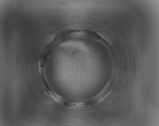 X0000052930288200507151625