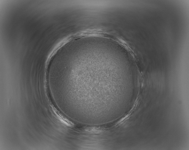 X0000052930293200507151624