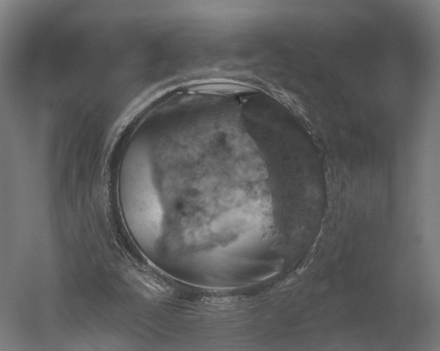 X0000052930295200507151624