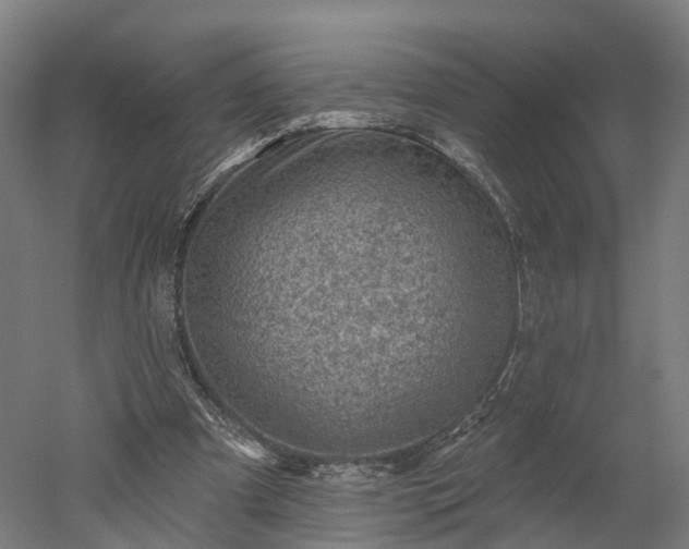 X0000052930297200507151624