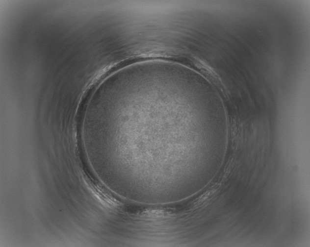 X0000052930298200507151624