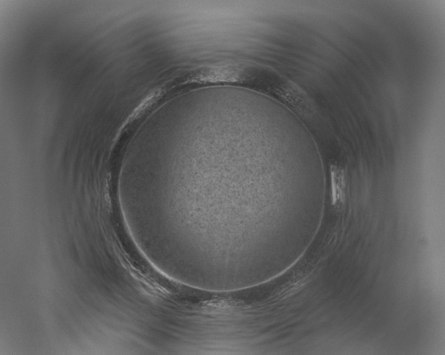 X0000052930300200507151624