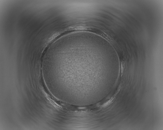 X0000052930301200507151624