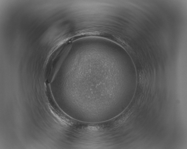 X0000052930302200507151624