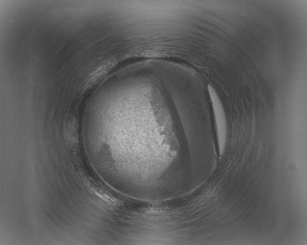 X0000052930303200507151624