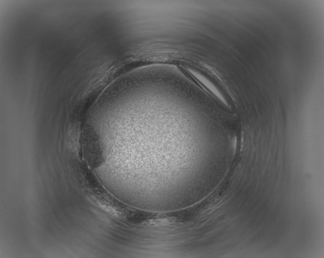 X0000052930307200507151624