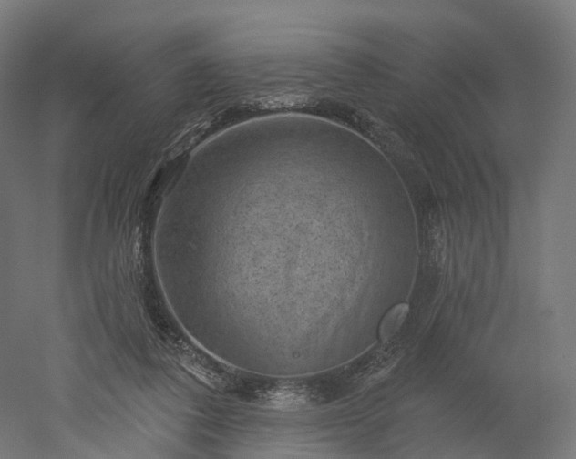X0000052930308200507151624