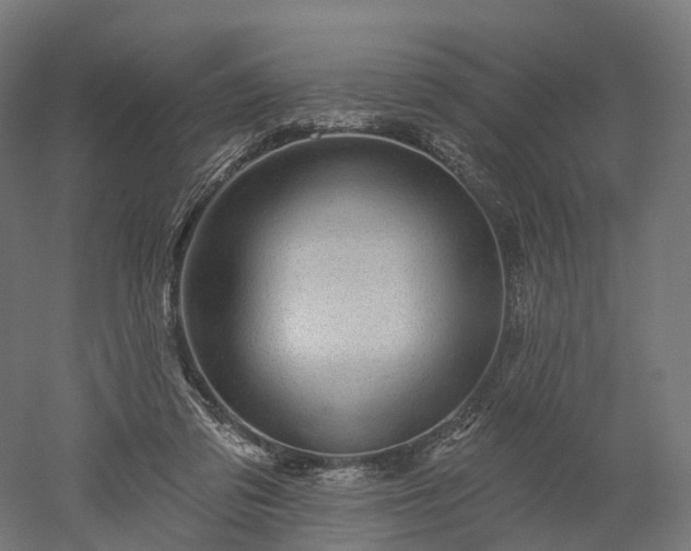 X0000052930309200507151624