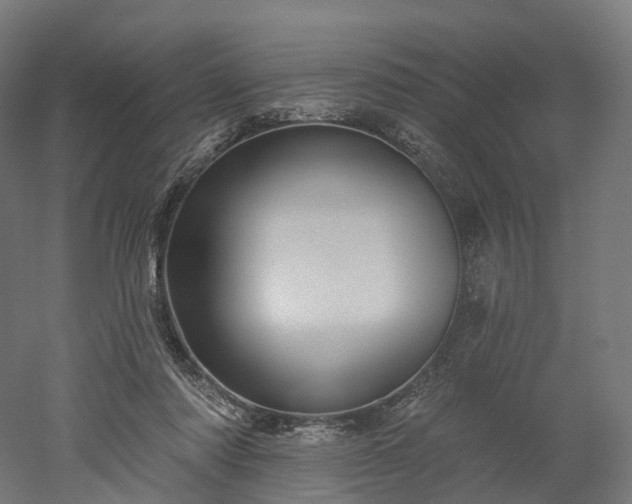 X0000052930310200507151624