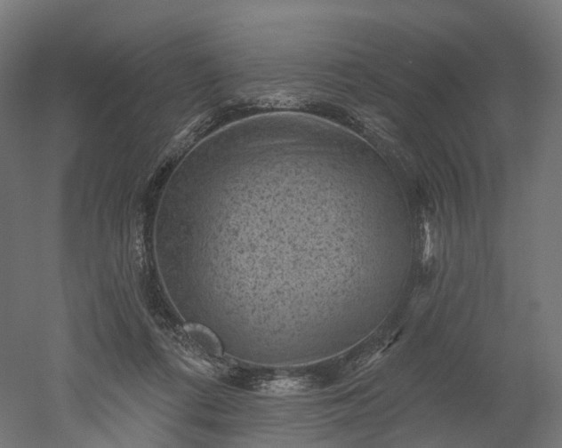 X0000052930312200507151624