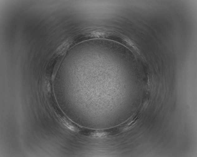 X0000052930313200507151624