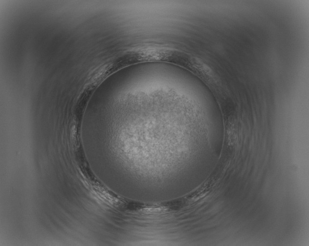 X0000052930314200507151624