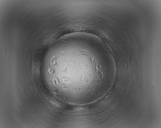 X0000052930315200507151624