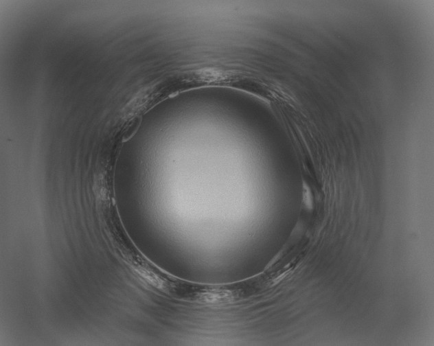 X0000052930317200507151623