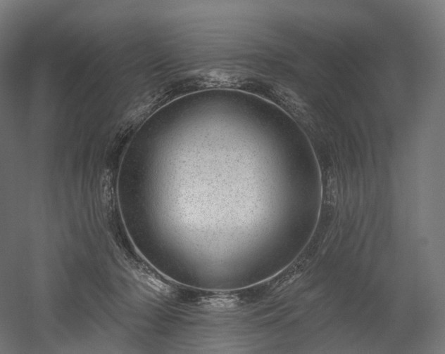 X0000052930318200507151623