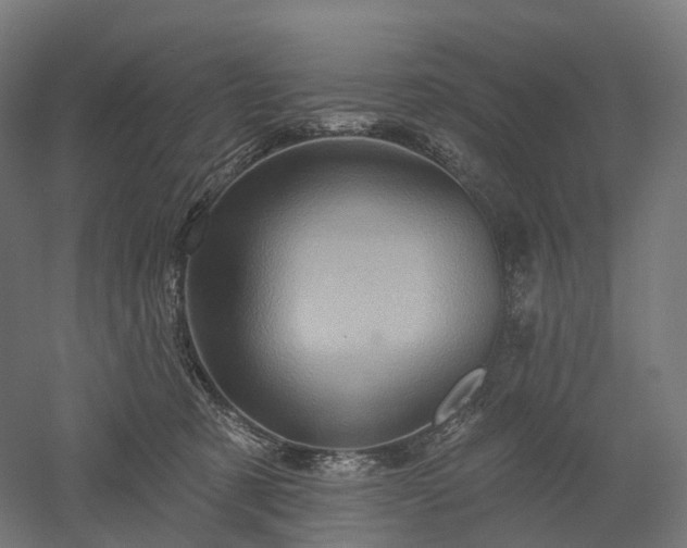 X0000052930321200507151623