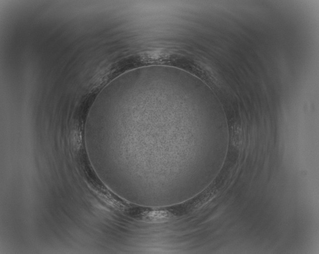 X0000052930324200507151623