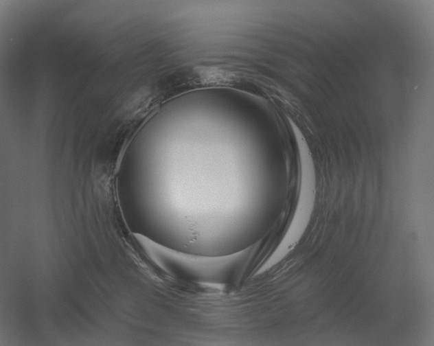 X0000052930329200507151623
