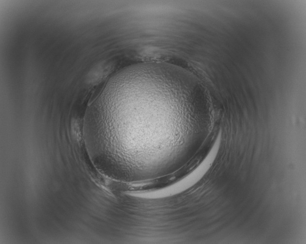 X0000052930335200507151623