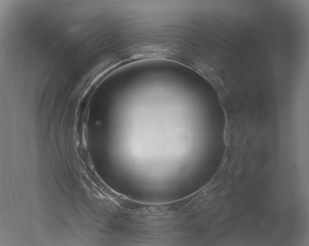 X0000052930338200507151622
