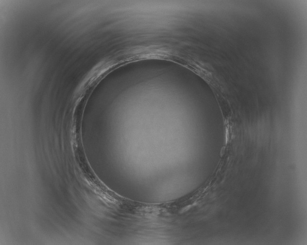X0000052930339200507151622