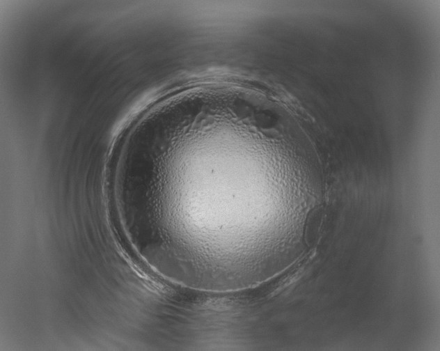 X0000052930341200507151622