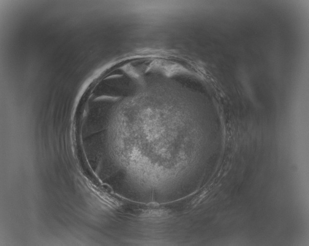X0000052930342200507151622