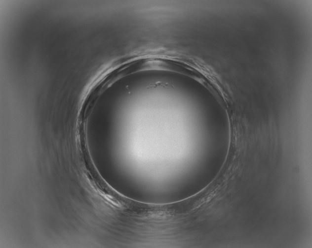 X0000052930344200507151622