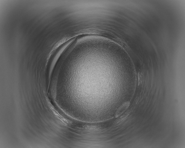X0000052930349200507151623