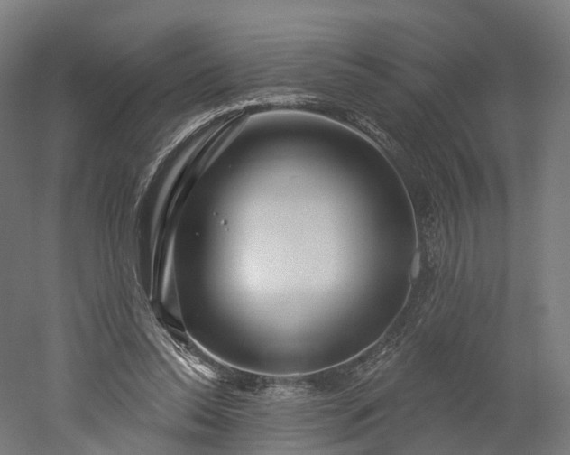 X0000052930350200507151623