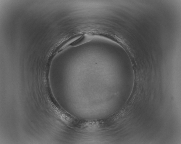 X0000052930353200507151623