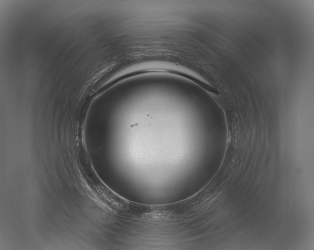 X0000052930356200507151623