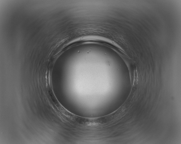 X0000052930360200507151623