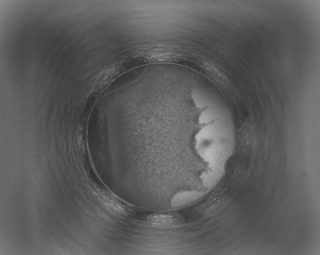 X0000052930361200507151623