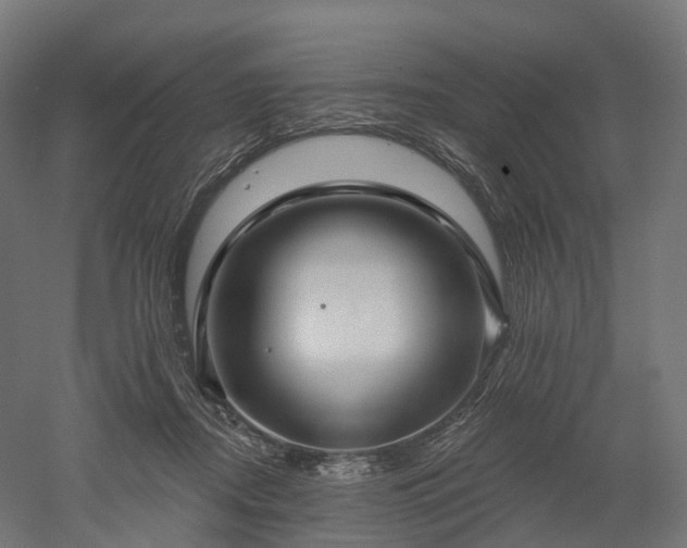 X0000052930362200507151623