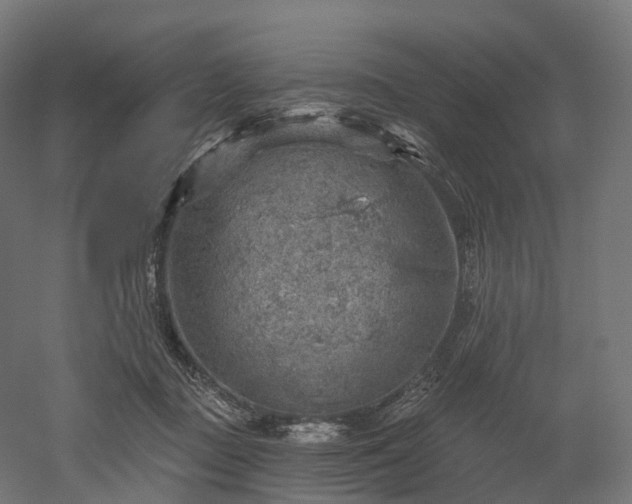 X0000052930363200507151623