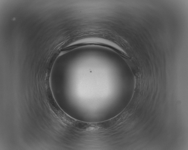 X0000052930364200507151623